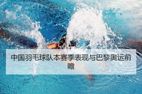中国羽毛球队本赛季表现与巴黎奥运前瞻